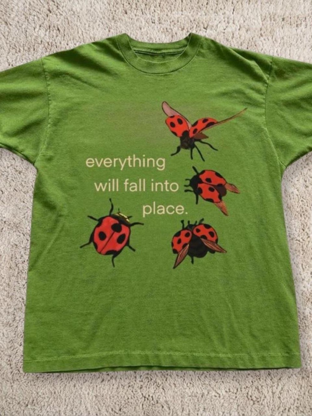 Gildan Green T-Shirt with Red Ladybug Graphic